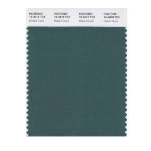   SMART 19 4818X Color Swatch Card, Mallard Green: Home Improvement