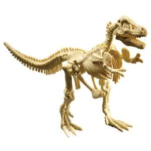  Educational Insights Tyrannosaurus Rex (GeoSafari Dino 