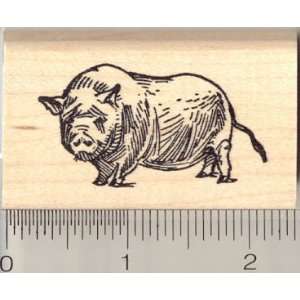  Pot Bellied Pig Rubber Stamp: Arts, Crafts & Sewing