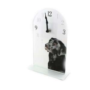  Pendulum glass Labrador Noir.: Home & Kitchen