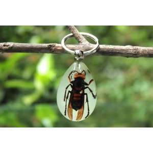  Real Amber Insect Keychain Jewelry Bee (Glow in the Dark 