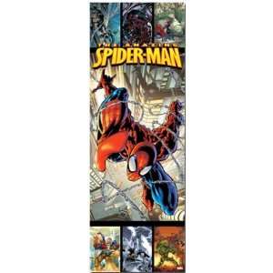  Spider Man   Web   Marvel Comics Door Poster: Home 