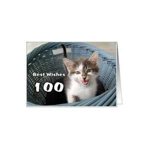  100th Birthday Best Wishes Kitten Humor Card Toys & Games