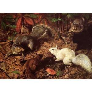  WHITE SQUIRREL PLAYING FOREST PRINT BY WILLIAM HOLBROOK 