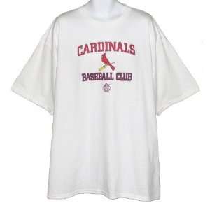    Mens St. Louis Cardinals White Practice Tshirt: Sports & Outdoors