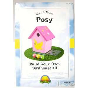    David Kirks Posy Build Your Own Birdhouse Kit: Toys & Games