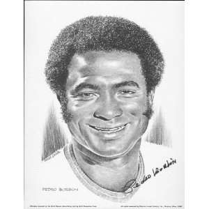  1974 Pedro Borbon Cincinnati Reds Lithograph: Sports 