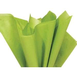    Oasis Green Tissue Paper 20 X 30   48 Sheets 