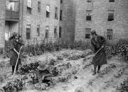 early 1900s photo Food Adm., Girl Scout garden, 1  