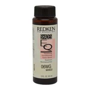  Redken Shades EQ Equalizing Conditioning Color Gloss, 06Wg 