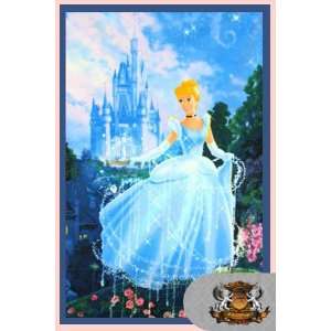   Fleece Disney Cinderella Wish Fabric / 50w X 62l 