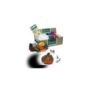  Louet Needle Felting Kit Basic (Pumpkin): Arts, Crafts 