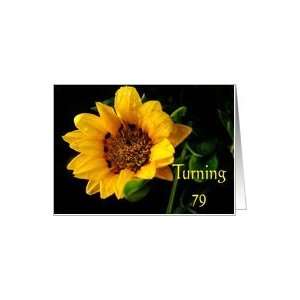  79th Birthday, yellow Gazania Card Toys & Games