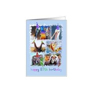  Colorful 87th Birthday Zoo Animals Card Toys & Games