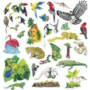  Rainforest Animals Pre Cut Flannelboard Figures: Toys 