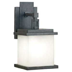  Peak Collection Pewter 14 Outdoor Wall Light: Home 