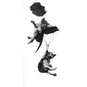  Flying Squad, Cats & Kittens Note Card, 4.25x9: Home 