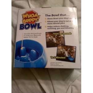  Whoa Buddy! Bowl with Bonus Water Bowl: Pet Supplies