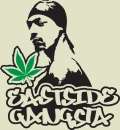 THUG LIFE   2Pac Tupac CHROME Decal Sticker Gangster!  