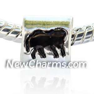   Sign Leo European Bead Pandora Style Chamilia Troll Biagi Jewelry