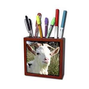   billy goat   Tile Pen Holders 5 inch tile pen holder