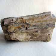Petrified wood is a great addition to the business office because it 