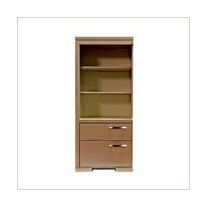   Cherry AP Industries Element Bookcase with 2 Drawers