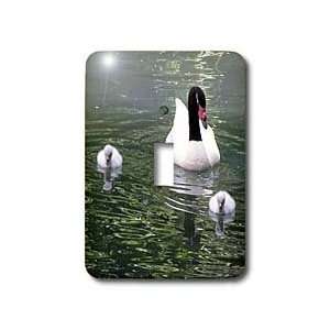 Beverly Turner Photography   White Swan Family   Light Switch Covers 