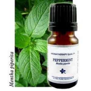  Peppermint Essential Oil 8ml. On Sale Buy 2 Get 1 Free 