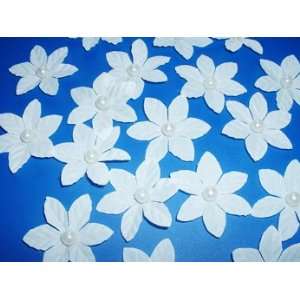   Flowers with Pearl Silk White Wedding Petals: Everything Else