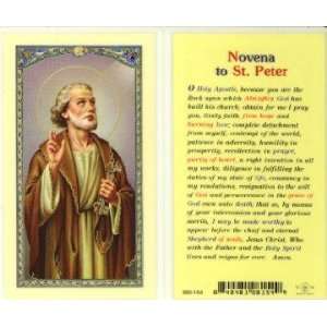  St. Peter Novena Prayer Holy Card (800 154): Everything 