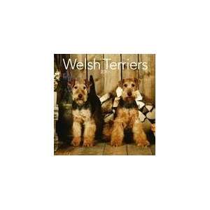  Welsh Terriers 2010 Wall Calendar: Office Products