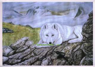 beautiful paintingthe lonely white wolf on canvas  