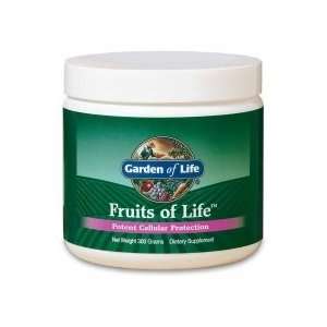  Garden of Life Fruits of Life, 300 grams powder: Health 