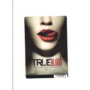  TRUE BLOOD S1D1 CARD STOCK PHOTO 8 X 5.5 Everything Else