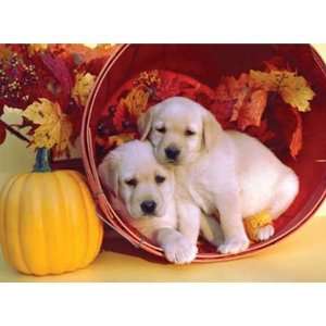    Ravensburger Puppies in Autumn Puzzle 200 Piece Toys & Games