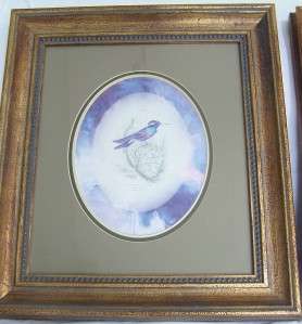 PAIR OF GORGEOUS MATTED/FRAMED HUMMINGBIRD PRINTS~20x17  