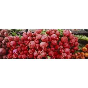  Close Up of Radishes at a Market Stall by Panoramic Images 