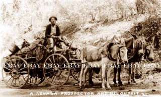 Old Nevada Nv Gold Prospector Mine Miner Mining Wagon & Mules Photo 1 