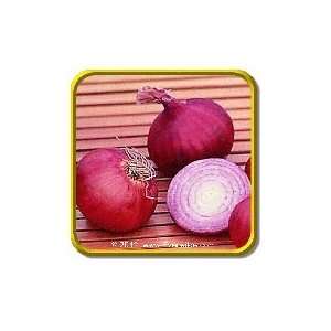   Onion Seeds   Red Grano Bulk Vegetable Seeds Patio, Lawn & Garden