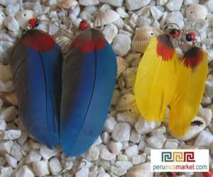 10 pair PARROT FEATHER EARRINGS  FOREST wholesale  