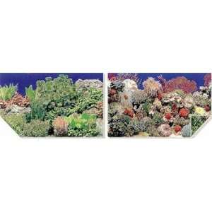  Aquarium Products Background Freshwater/Coral   24 High 
