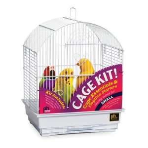  Round Top Parakeet Bird Cage Starter Kit: Pet Supplies