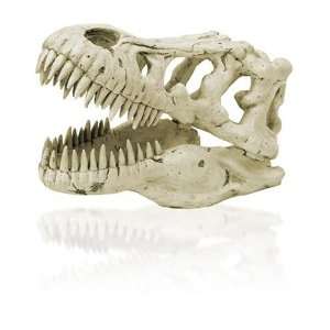  K&A Imports T Rex Skull, Extra Large
