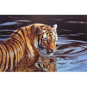  Matthew Hillier   Reflections   Signed And Numbered with 