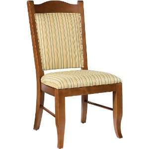   8001S Health Care Senior Living Dining Side Chair: Home & Kitchen