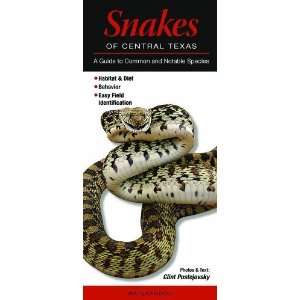  Snakes of Central Texas (Quick Reference Guides) [Pamphlet 