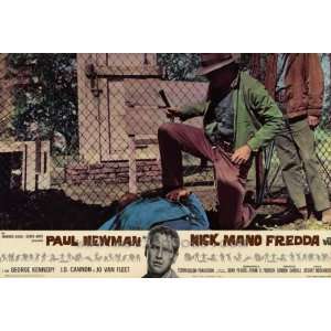 28cm x 44cm) (1967) Italian Style A  (Paul Newman)(George Kennedy)(J.D 