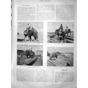   1899 Elephants Logs Mills Rangoon Moulin Carrier Men