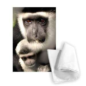  A colbus monkey with baby, Twycross Zoo,   Tea Towel 100 